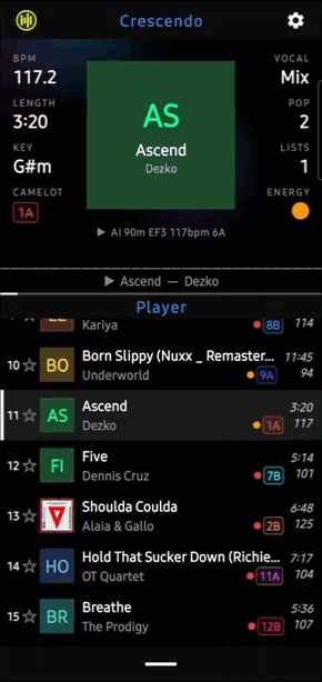 Crescendo DJ energy Flows
